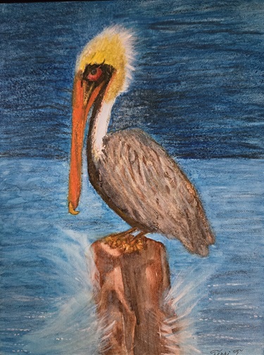 Pelicans-Perch_Territ-Art.jpg