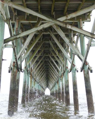 Under-Oak-Island-Pier_Kim-Ramsey.jpeg