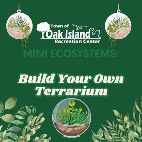 terrarium flyer