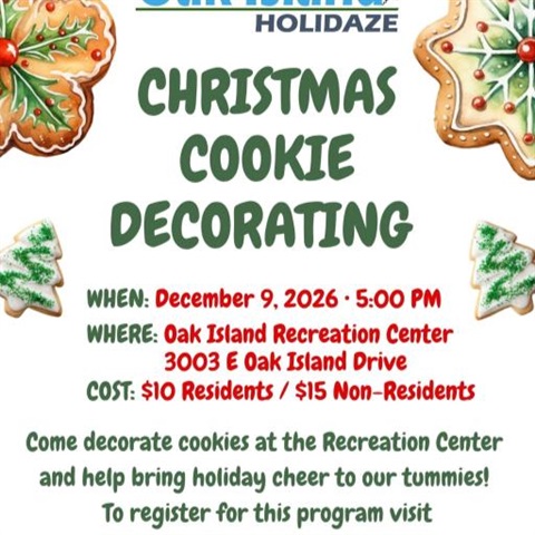 christmas cookie decorating poster