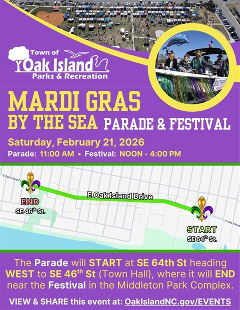 mardi gras flyer