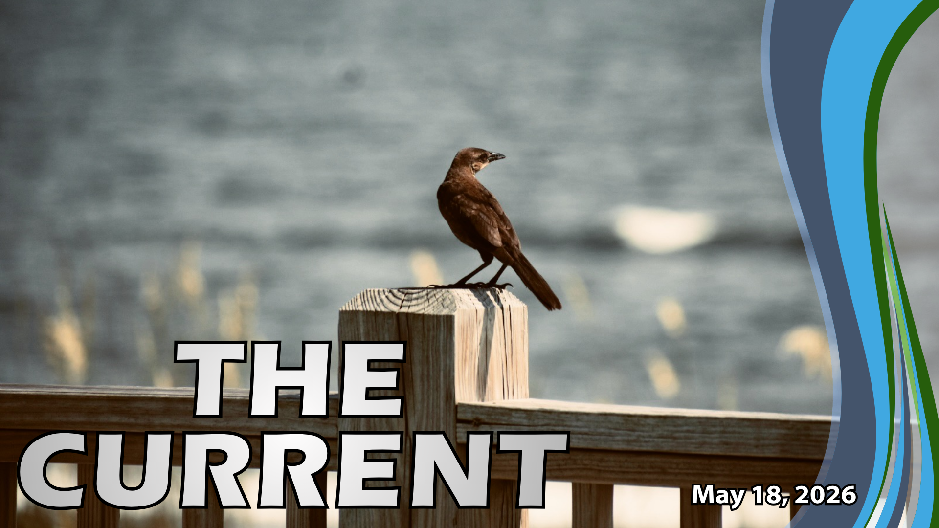 Cover photo for the digital newsletter The CURRENT