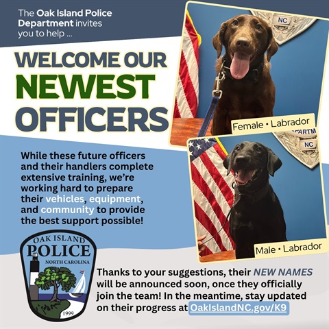 K-9 Naming Opportunity Graphic