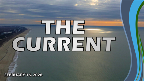 Cover photo for the digital newsletter The CURRENT